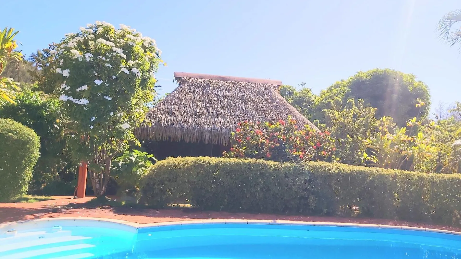 Huahine - Bungalow Picasso Fare Fransk Polynesien
